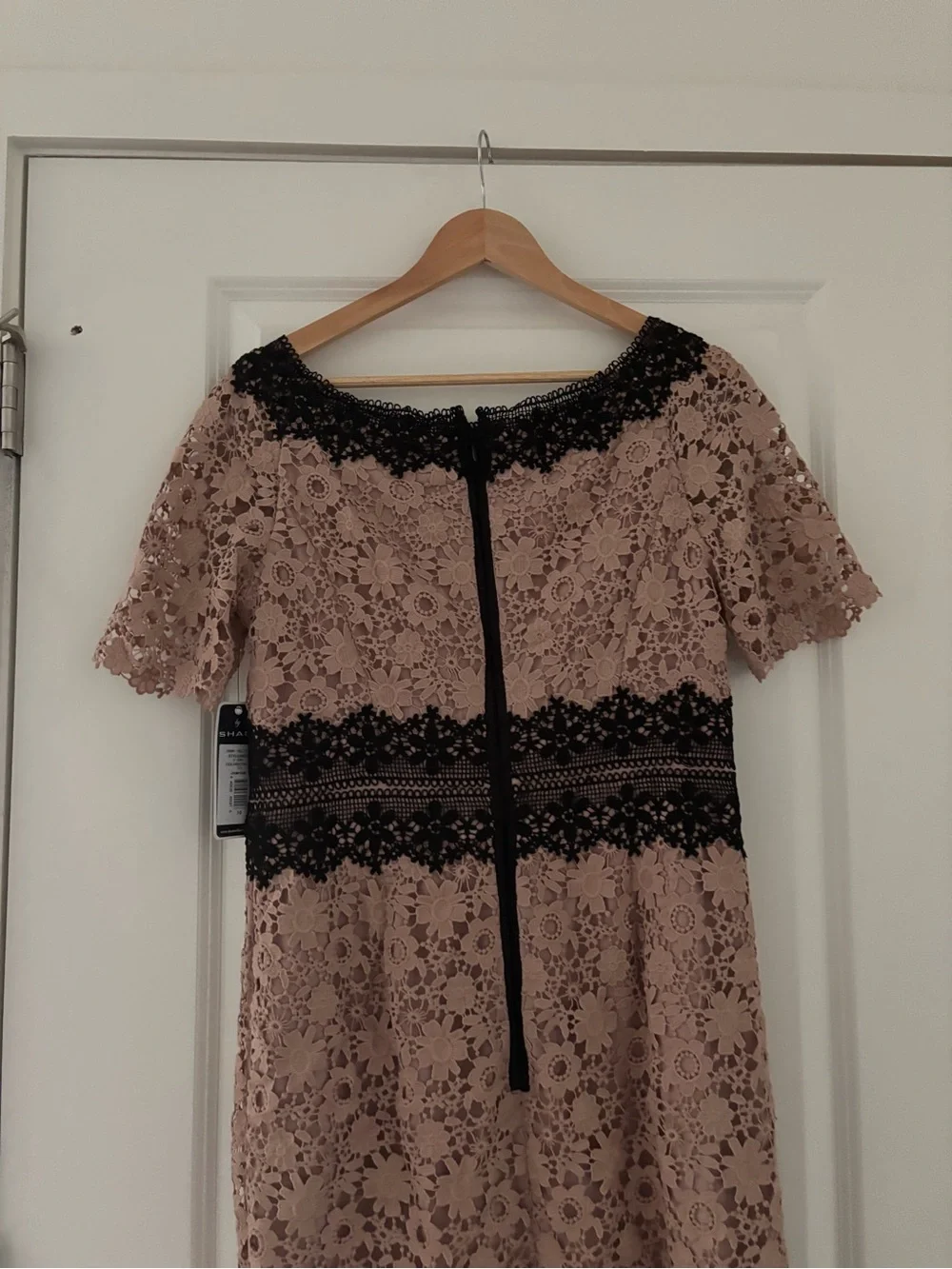 NWT SHANI Colorblock Lace Sheath Dress Champagne 10